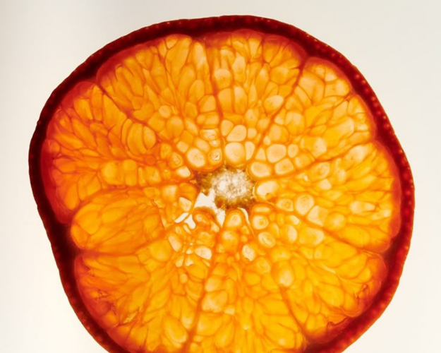 Cross-section of a citrus x sinesis fruit showing its interior texture and antioxidant property in mm Multi Fuel.